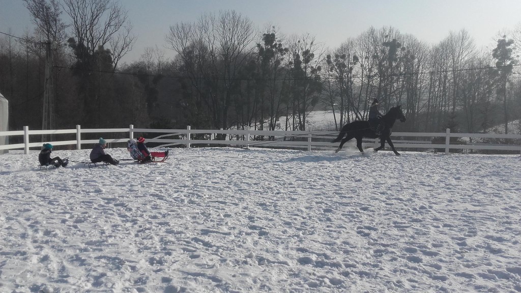 16422675_1409131642454091_301245591149947575_o