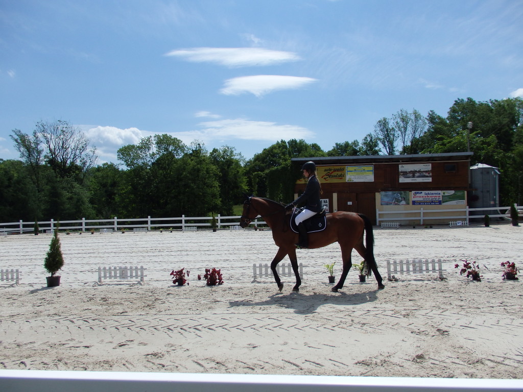 EGZAMIN NA ODZNAKĘ JEŻDŻĘ KONNO 23.10.2023