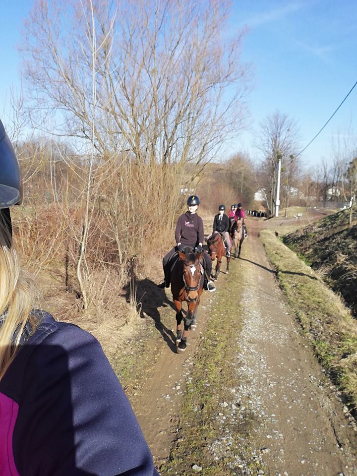 MAJÓWKA Z AJK SOLKA! Zapisy trwają