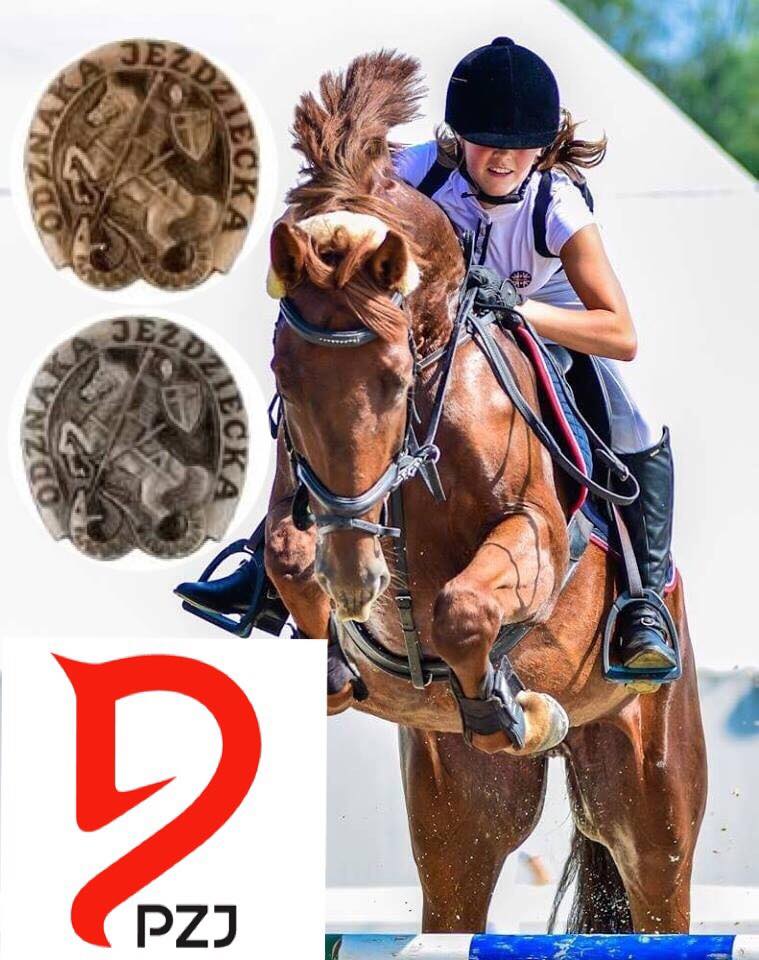KURS oraz EGZAMIN odznaka JEŻDŻĘ KONNO