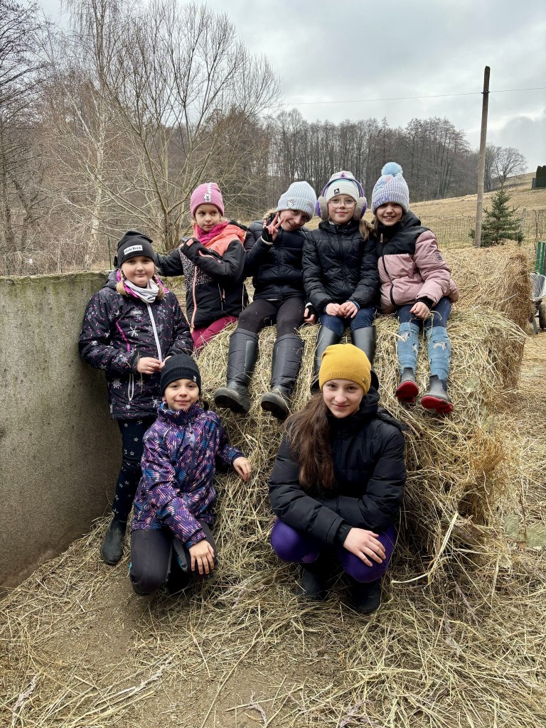 dde7ad25-786c-4fe2-b4bd-66cabbfa63ff